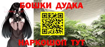 2c-b Новозыбков