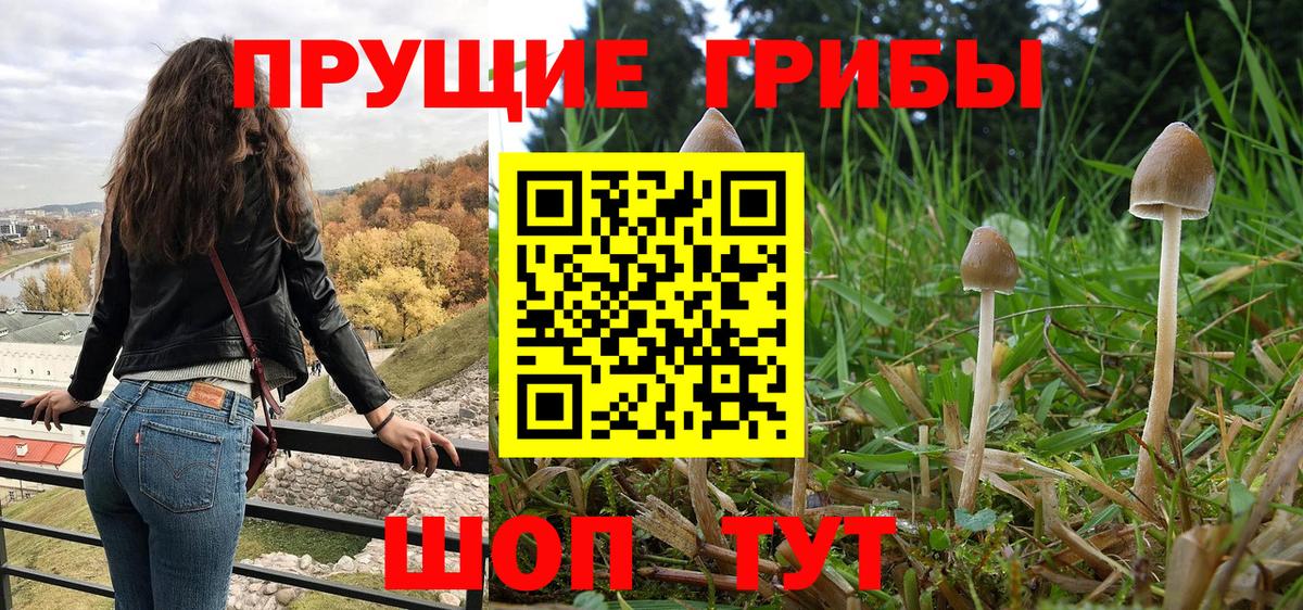 Тихвин  Галлюциногенные грибы Psilocybe  как найти наркотики  Вход с VPN 